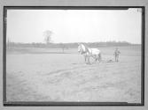 [Plowing/One-Horse]