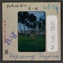[Dancer, Hawaii (travel slide)]