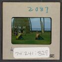 [Dancers and musicians, Hawaii (travel slide)]