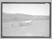 [Farmer Grading Field]