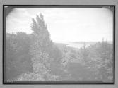 [Landscape]