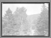[Landscape]