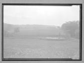 [Landscape]