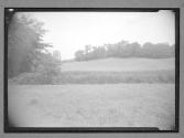[Landscape]