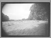 [Landscape]