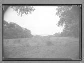 [Landscape]