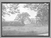 [Landscape]