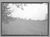 [Landscape]