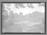 [Landscape]