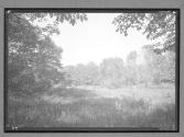 [Landscape]