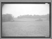 [Field]