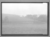 [Field]