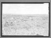[View of a Town]