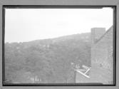 [View From La Barranca]