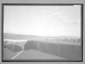 [Landscape from Rooftop]