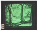 Forests of Coal Period