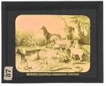 Beasts, Cattle, Creeping Things