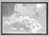 [Boy with Pumpkins]