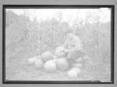 [Boy with Pumpkins]