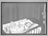 Child in Crib, Oshkosh