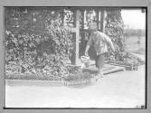 Boy Watering City Garden