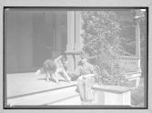 [Boy with Dog]