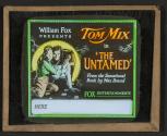 The Untamed