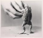 Doug with Toad Prince