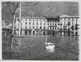 Flooded Square Their Playground