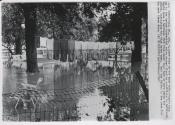 High Tide in the Back Yard