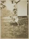 [Joan Martin Climbing on a Box, Umpawaug, CT]