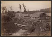 Scene of the Hursthouse Outrage, Te Kumi, King Country