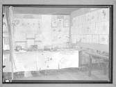 [Science Exhibit]