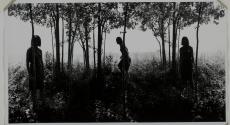 Small Woods Where I Met Myself (1st Version)