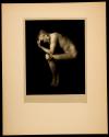 Le Penseur (George Bernard Shaw [1856-1950]), Paris