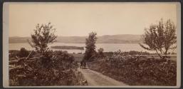 [Landscape with lake and carriage]