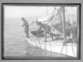 Fred A Small Oyster Fisher, Working On An Oyster Boat In Mobile Bay... 1910