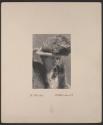 [Bertha Galland]