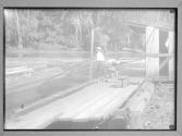 Boys Poling Logs