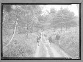 [Children Hiking]