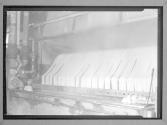 Piece Dyeing/Shelton