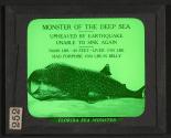 Florida Sea Monster