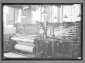 [Looms]