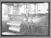 [Looms]