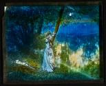 In the Moonlight Dear Louise