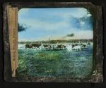 In Dear Old Illinois
