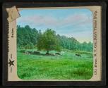 [Pastoral scene]