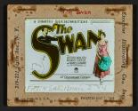 The Swan
