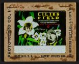 Lilies of the Field