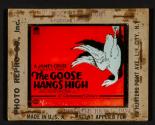 The Goose Hangs High